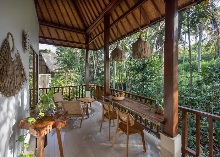 Jungle Paradise