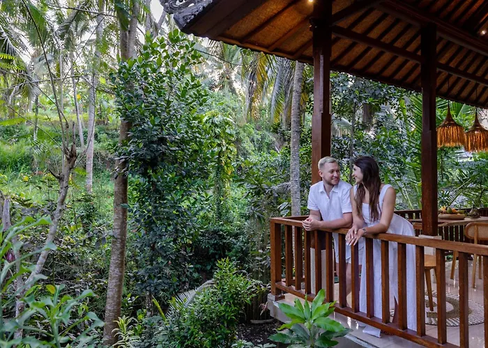 Jungle Paradise *